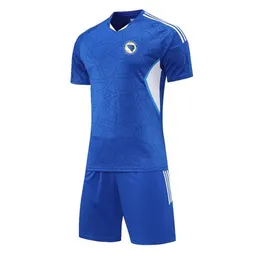 Bosnien-Herzegowina Herren-Trainingsanzüge, Sommer, Outdoor-Trainingsshirt, Sport, Kurzarmanzug, Fußballfans, T-Shirt, Team-Emblem 187a