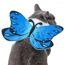 Trajes de gato fantasia de cachorro borboleta asas de Halloween decoração de animais de estimação acessórios de material de pano de feltro para aniversários