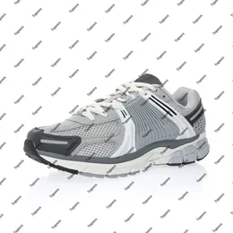 Vomero 5 Wolf Cool Grey Sportschuh für Herren, Laufschuhe, Herren-Sneaker, Damen-Sneaker, Damen-Trainer, Herren-Training, FD9919-001