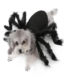 Halloween Pet Vestiti Del Cane Peluche Ragno Vestirsi Per Cani di Piccola Taglia Gatti Cosplay Divertente Festa Cucciolo Costume Per Chihuahua Yorkie 20124714848