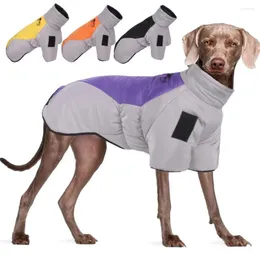 Tuta per abbigliamento per cani Labrador Giacca calda impermeabile per cani Costume medio Abbigliamento invernale dorato Retriever Grande per gilet per animali domestici di grandi dimensioni