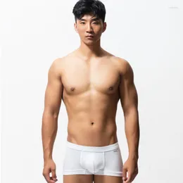 Underpants Cotton Sexy Men Underwear Graphene Antibacterial Slim White Black Comfortable Boxer Shorts Handsome Boy's