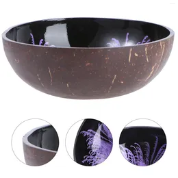 Bowls Fruit Dish Office Natural Home Decor Rustic Dinnerware Wooden Coconut Shell Bowl