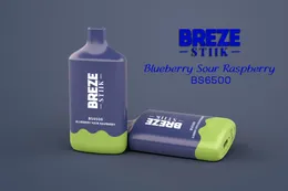 100% original engångsvape Breze Stiik BS BS6500 15ML PODS med laddningsbar 400mAh Uppladdningsbart batteri 6500 engångsvapspen POD ECIGS