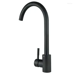 Torneiras de cozinha Sanipro Factory Low MOQ Desenvolver Design SUS 304 PVD MaBlack Torneira de aço inoxidável dourada