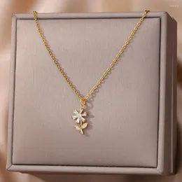 Colares Pingente Zircon Flor Colar Para Mulheres Meninas Cor De Ouro Corrente De Aço Inoxidável Romântico Elegante Gargantilha Jóias Presente De Casamento