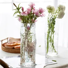 Vaser randig glas vas spansk stil nordisk ljus lyx transparent vatten odlade blommor och kreativa dekoration hantverk