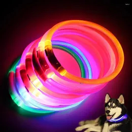 Collari per cani Collare per animali domestici USB a LED ricaricabile Collo per cucciolo notturno Glowing Luminoso Bagliore lampeggiante di sicurezza