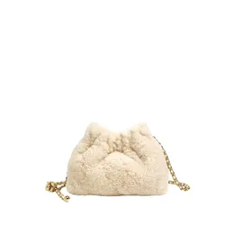 Kvällspåsar Autumn och Winter Cloud Lamb Fur Sheep Wool Bag Women's 2023 Fashion Versatile Chain Shoulder Crossbody