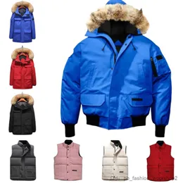 Herrkvinnor ner parkas puffer jacka kappa canda gooses långa rockar vinter klassiska gåsmönster jackor designer kvinnor khlc c4c5