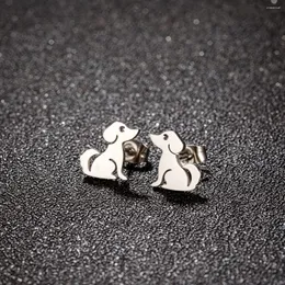 Stud Earrings Lovely Pet Dachshund Dog Animal Earring For Women Tragus Piercing Stainless Steel Original Fashion Jewelry Gifts