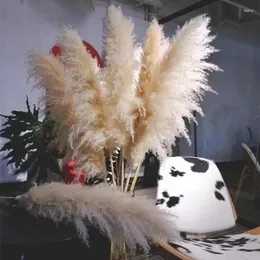 Decorative Flowers 120cm Pampas Grass Large Tall Fluffy Dried Boho Decor Planta For Vase Home Wedding Flower Arrangement