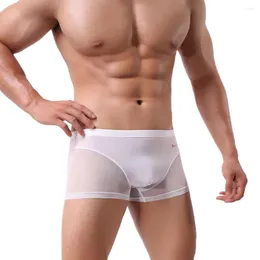 Underpants Sexy Men Boxer Shorts Mesh Silk Patchwork Sissy Gay Panties Lingerie Nightwear Seamless Slip Underwear Boxershorts Briefs 2XL