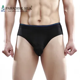 Underpants Mens Pouch Brief 100 Silk Knit Wide Waistband 3D Design Underwear Solid Size S M L XL XXL 231027