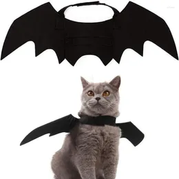 Kattdräkter mystiska justerbara Halloween Pet Bat -kostym perfekt för katter och hundar som klä sig på fester festliga sammankomster