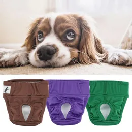 Cão vestuário pet calças menstruais prendedor fita confortável à prova de vazamento fralda para períodos incontinência potty treinamento