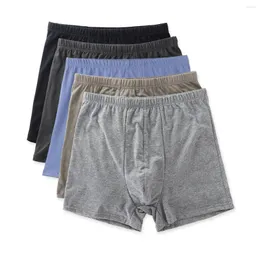 Mutande 5 pezzi / set L-6XL Boxer in cotone traspirante Biancheria intima da uomo Tinta unita Boxer da uomo Mutandine oversize Casuale