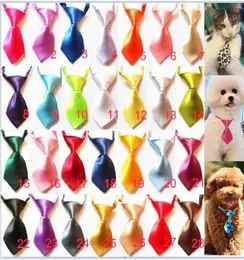 100 Stück modische einfarbige und bonbonfarbene Polyester-Seide-Krawatte für Hunde, verstellbar, hübsche Fliege, Pflegezubehör, P1026609