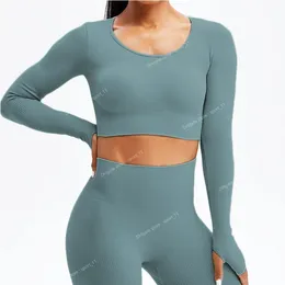 يوجا بيضاء مجموعات الرياضة Femme Ribwear Set Girls Girls Seamless Litness Suit Workout Doyout Weathic Wear Women Gymlic Gym Stet Yogawomen مجموعات اليوغا الرياضية