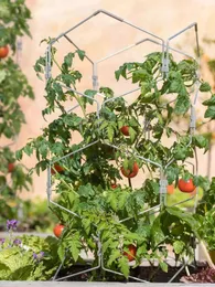 견고한 알루미늄 프레임 녹슬 토마토 격자 및 토마토 및 기타 과일 베어링 야채 식물 울타리의 보호 케이지