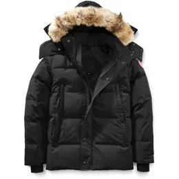 Yüksek kaliteli aşağı ceket kazı ceket gerçek büyük kurt kürk kanadalı wyndham palto giyim moda tarzı kış dış giyim parka
