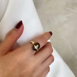 Amaiyllis 925 여성 Bijoux Ring Jewelry308에 대한 스털링 실버 호랑이의 눈 토성 기질 성격