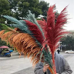 Christmas Decorations Large Dried Flowers Pampas Grass Tall Boho Home Decor Natural Pompas Floral for Wedding Party Arrangement Living Room Decor 231030