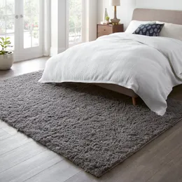 Grey Fluffy Carpet Large Fuzzy Plush Shag Comfy Soft, Non-Slip Indoor Floor Carpet,for Kids Boys Girls, Room,Bedroom,Playroom, Home Decor Aesthetic
