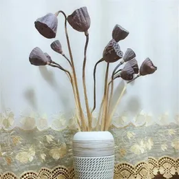 Decorative Flowers 10pcs Dried Flower Lotus Pods With Stems Bonsai Decor Seedpod Of Real Plants For Home DecorNo Vase