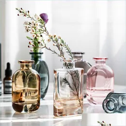 Vaser vas glas transparent blomma vaser för hem torr aromaterapi skrivbord vardagsrum dekoration tillbehör hem eller hemindustri dha3q