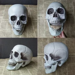 Other Event Party Supplies Halloween Skull Decor Prop Skeleton Head Realistic Looking Skulls for Adult Halloween Style Haunted House Party Home Decoration 220901