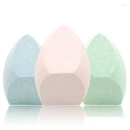Губки аппликаторы хлопок макияж губки 1pcs Sponge Set Foundation Cosmetic Puffing Concealer Powder Soft Make Up Beauty To Dhiwi