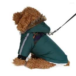 Köpek Kıyısı Kış Sıcak Evcil Giysiler Su geçirmez yelek ceketi kablo demeti küçük büyük köpekler köpek yavrusu pug ceket evcil hayvan giyim