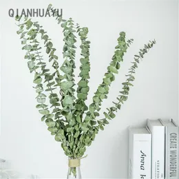 Flores decorativas 10pcs Flores secos Eucalipto natural deixa galhos artificiais para a sala de estar da sala de estar de casamento em casa Planta real