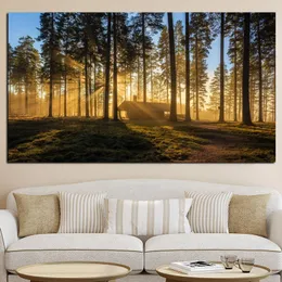 Płótno malowanie lasów Sun Kioto Japan Plakaty i drukowanie lasu krajobrazu Skandynawii ścienne zdjęcie do salonu cuadros