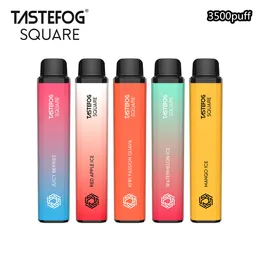 Tastefog Square neues 3500puff Einweg-Vape-Gerät, 10 ml, 650 mAh Akku, 10 Geschmacksrichtungen, schnelle Lieferung