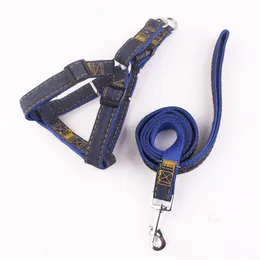 Pet Dog Training Leash Harness Collar 4 Färger 120 cm Hundar Löser med sele Multi Color Drable Traction Rope