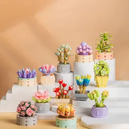 Creative Blocks Toys Succulent Bonsai Model Building Kits Blocks Boys and Girls Assemble Plant Flower Bricks Kit Gift Toy