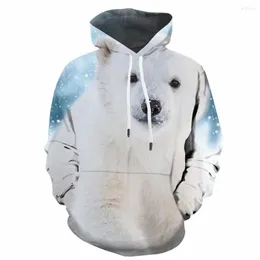 Herrtröjor 3d björn tröjor män polar hoody anime vit tröja tryckt djur huva avslappnad