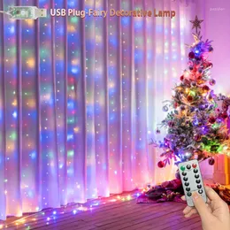 Saiten Rjedl String Lichter USB -Stecker 3x3m Vorhang LED GARLAND Weihnachtsfee f￼r Wall Party Hochzeit in der Freien Outdoor -Dekoration
