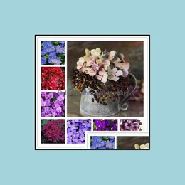 Andra tr￤dg￥rdsmaterial 100st/partifr￶n Aubrieta Rock Cress Flower Bonsai Evergreen fler￥rig resistent markanl￤ggning f￶r Home Soif OTFVI