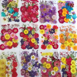 Decorative Flowers 31-35PCS Pressed Mixed Natural Plant Dried Leaves Dry Flower Press For Nail Art Resin Jewellery Earring Frames