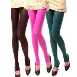 Women Socks Spring Autumn Winter Tights Burnish Opaque Pantimedias Candy Color Collant Femme Tight Medias Ladies Casual Pantyhose