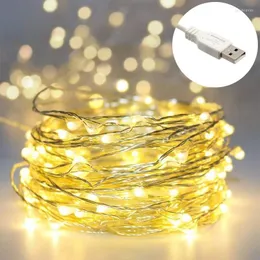 Strängar 5m USB LED Garlands 50 String Lights Festoon Fairy Decorative Christmas Light Outdoor Waterproof Party Holiday