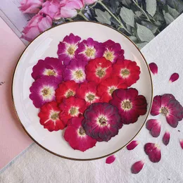 Finto verde floreale 12 pzparty testa di fiore essiccato naturale pressato grande pianta di rosa per ciondolo in resina epossidica creazione di gioielli artigianali fai da te accessori per nail art J220906