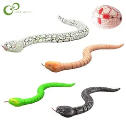 ElectricRC Animali RC Animale Telecomando a infrarossi Serpente elettrico Uovo Serpente a sonagli Bambini Giocattoli per bambini Trucco Terrificare Mischief Giocattoli Serpente Modello DDJ 220913