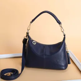 Женская сумка 2021 Новая женская сумочная сумка модная сумка для женской сумки для одного плеча кошельки дамские сумочки