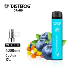TasteFog Mesh Coil Disponível Vape 4000puff Fruit Sabores