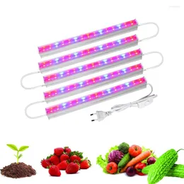 Grow Lights T5 Tube Phytolamp per piante 85-265V 6-30W Rosso Blu LED Light Phyto Lamp Spettro completo Tenda Box