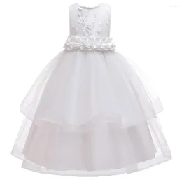 Girl Dresses 2022 Children's Long Dress Europe And The United States Embroidered Princess In Big Child Qidypong Evening
